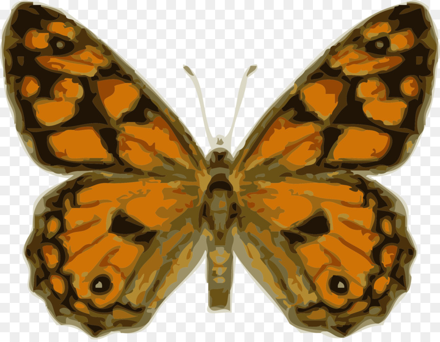 Papillon，Brun PNG