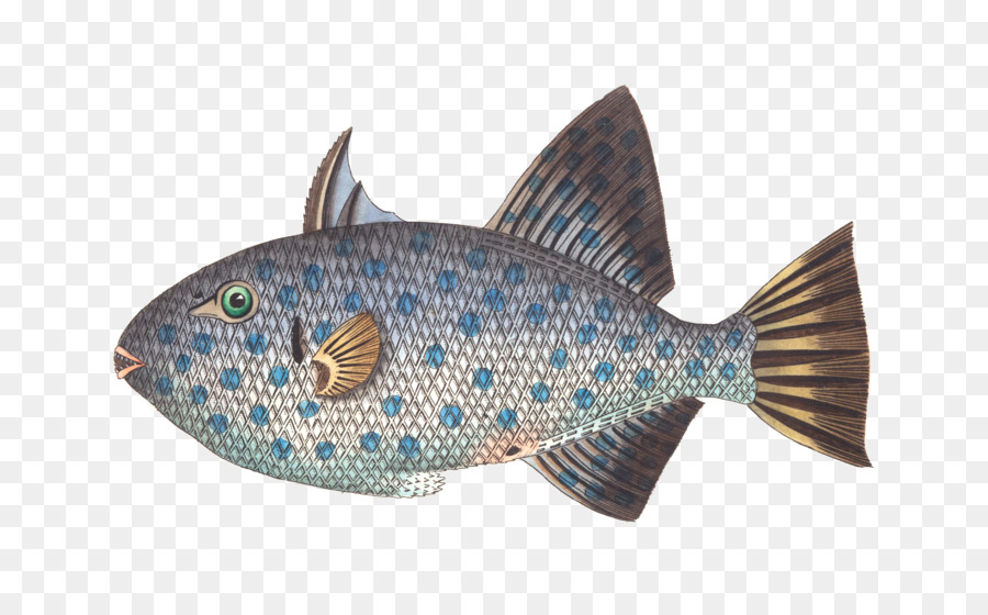 Les Poissons，La Pêche PNG