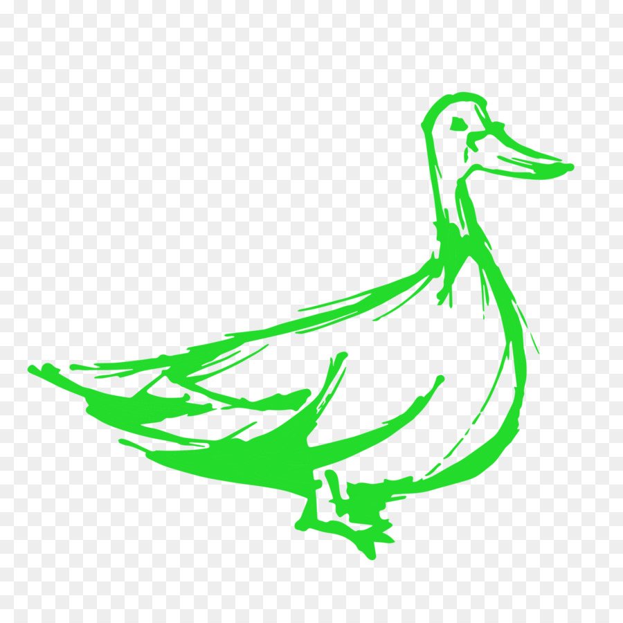 Canard，Oie PNG