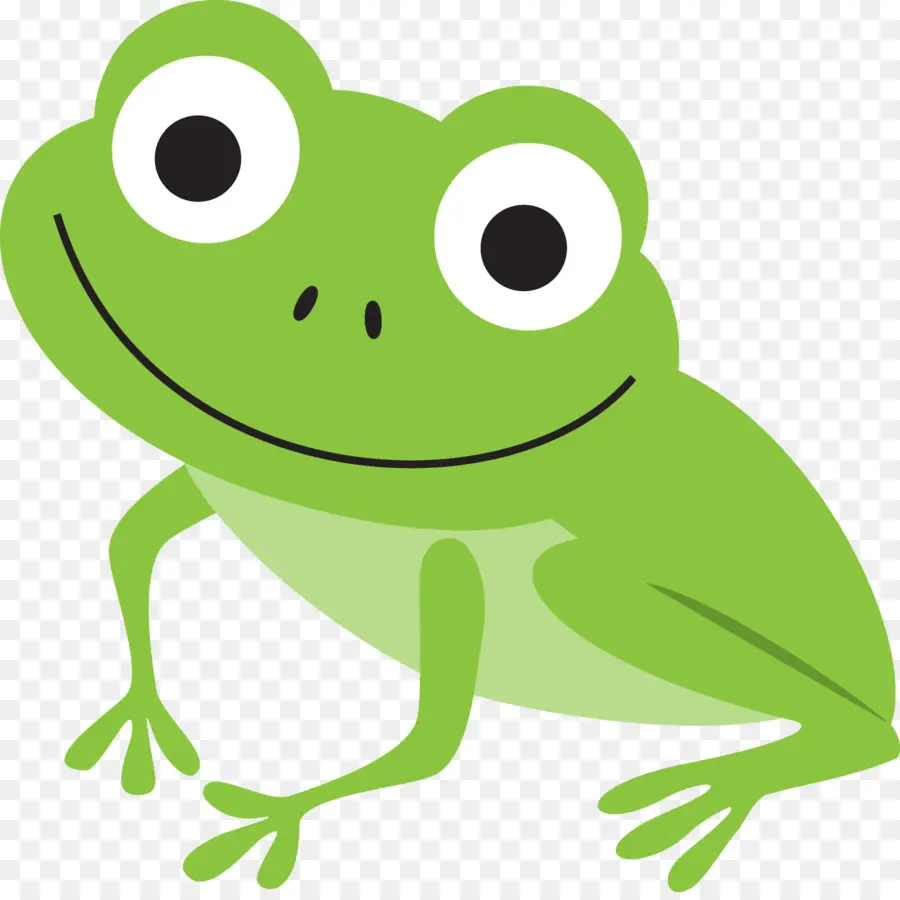 Grenouille De Dessin Animé，Vert PNG