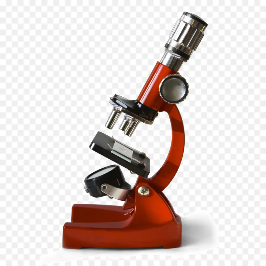 Microscope，Laboratoire PNG