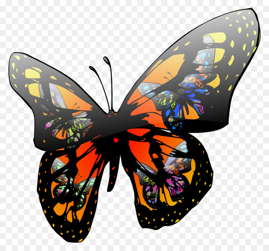 Papillon，L Effet Papillon PNG