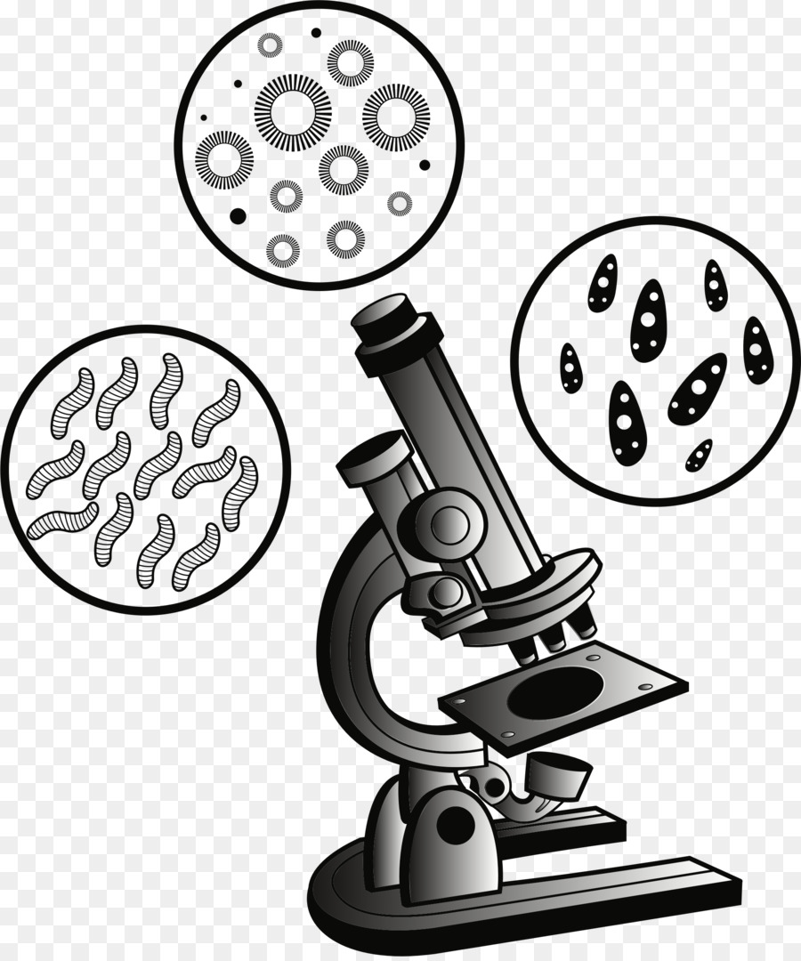 Microscope，Laboratoire PNG