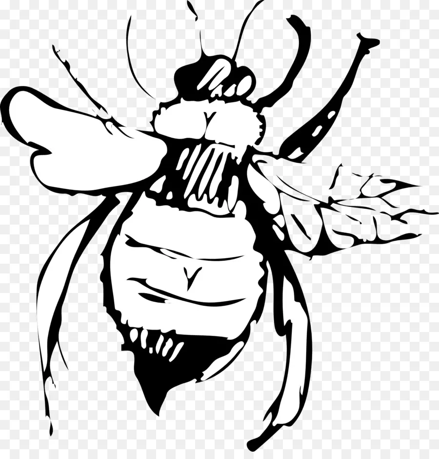 Abeille，Ailes PNG