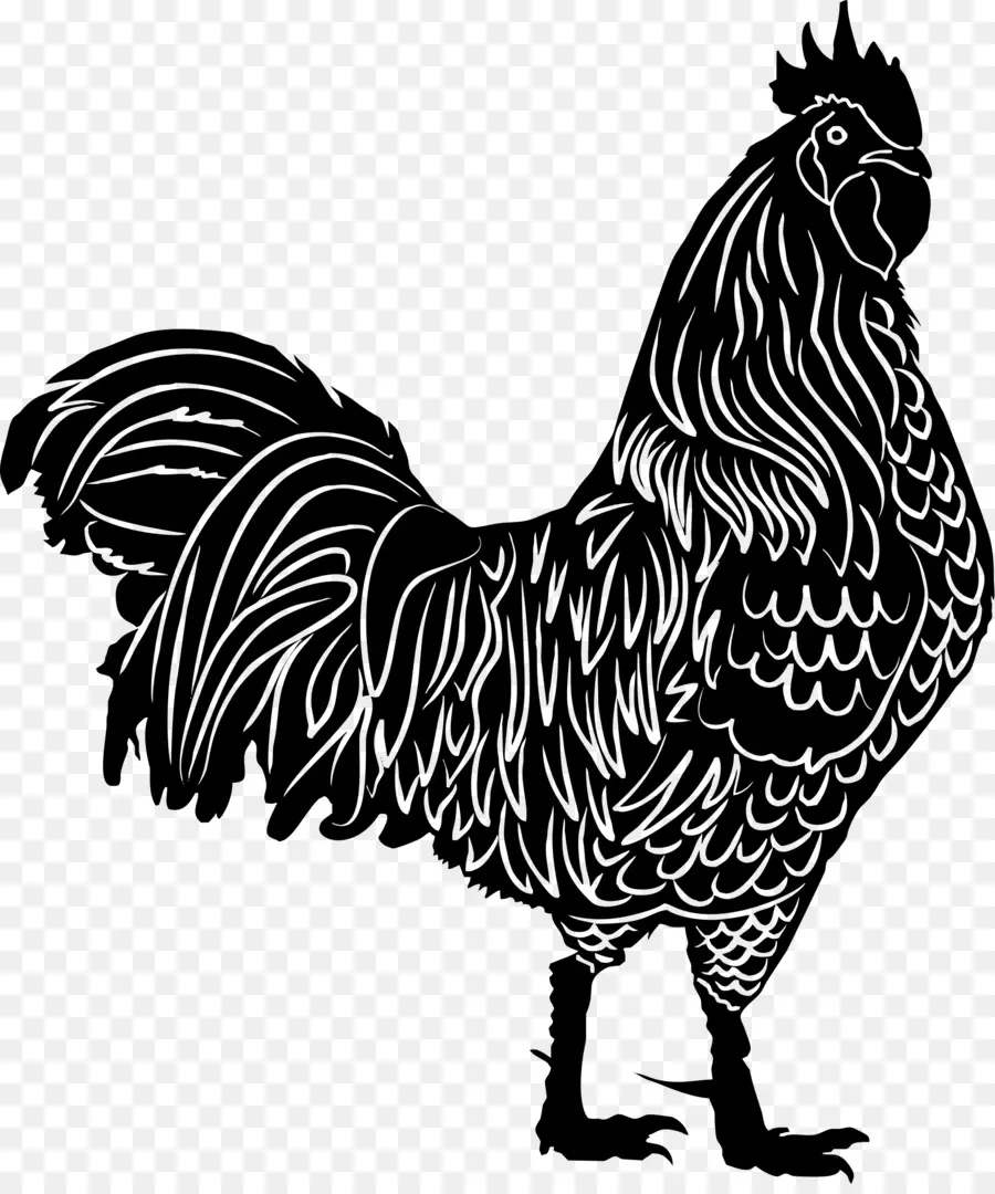 Coq，Silhouette PNG