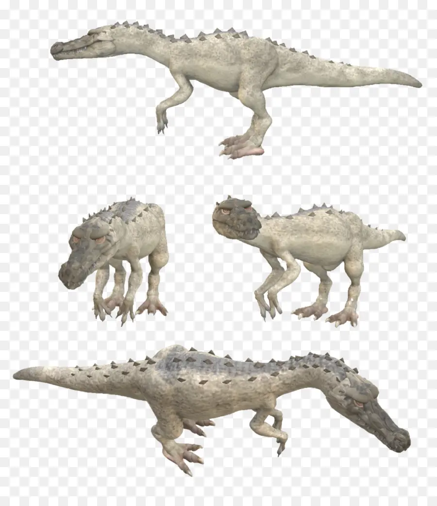 Modèles De Dinosaures，Préhistorique PNG