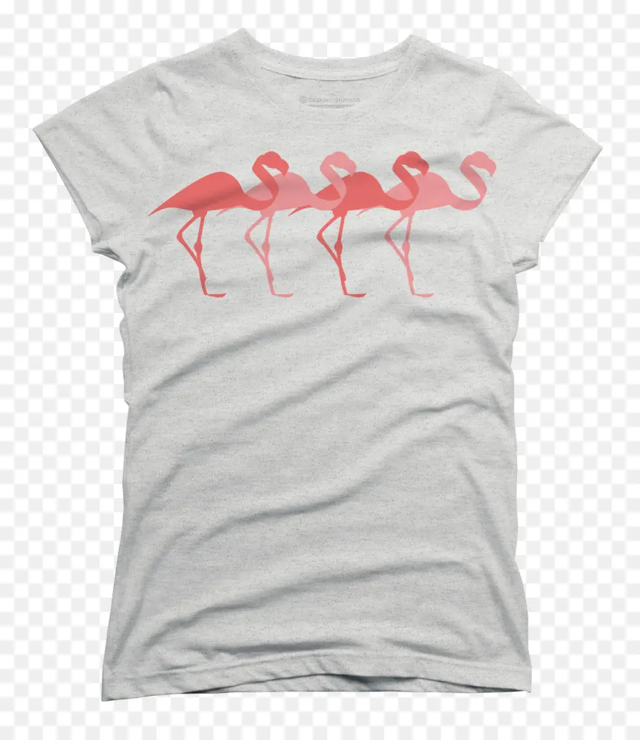 T Shirt Flamant Rose，Rose PNG