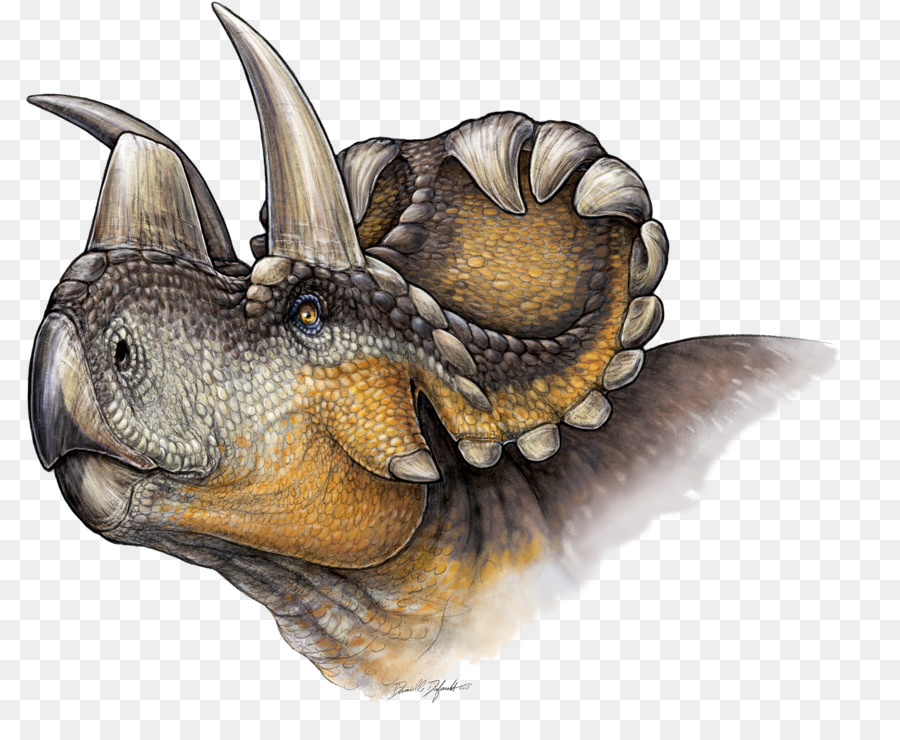 Dinosaure，Tricératops PNG