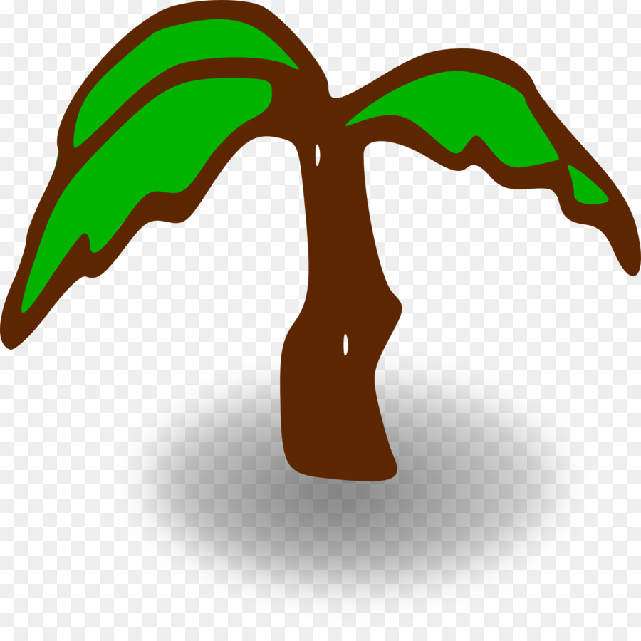 Arecaceae，Arbre PNG