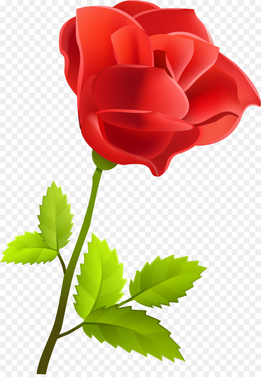 Rose，Rouge PNG