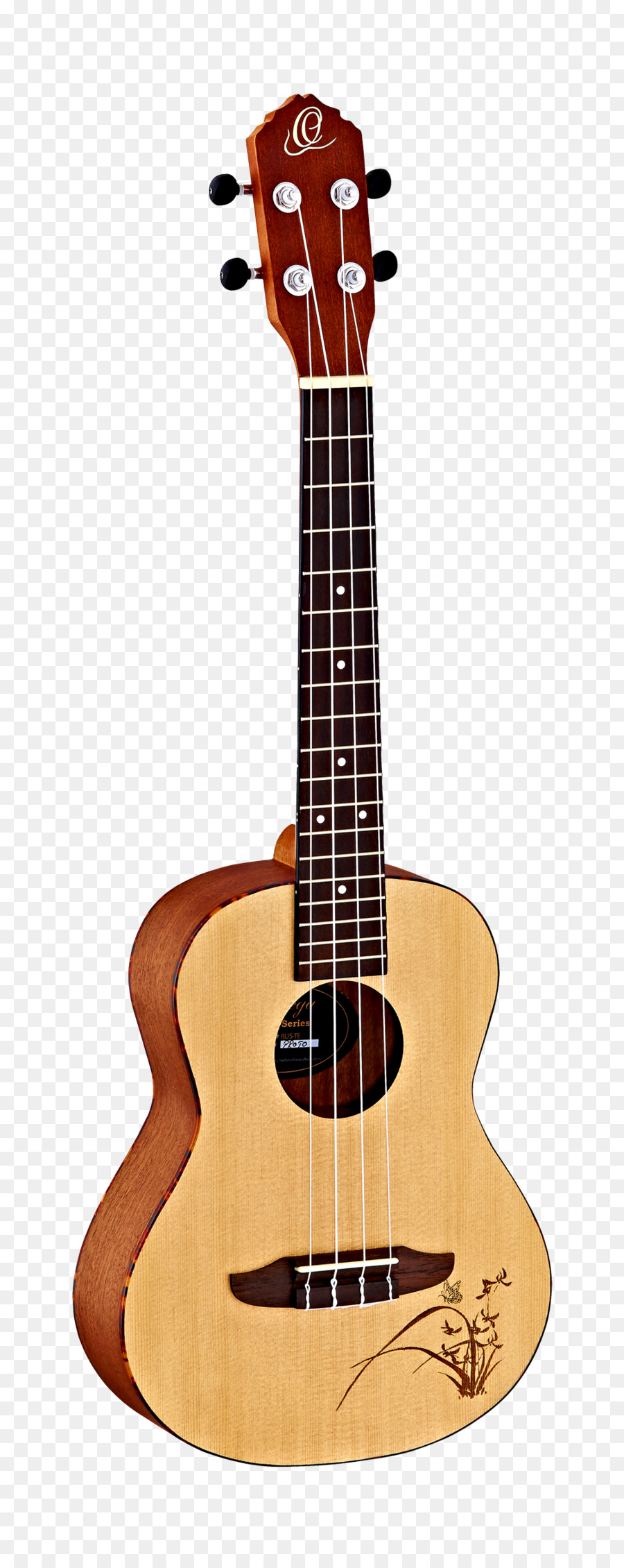 Ukulélé，Guitare PNG