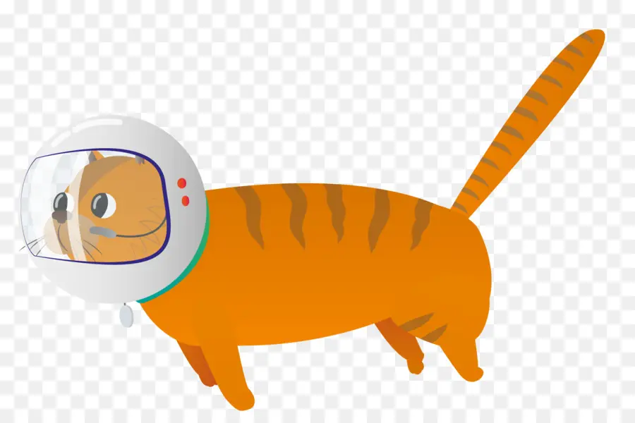 Chat Dans Un Casque Spatial，Orange PNG