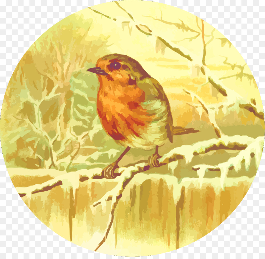 Européenne Robin，Wren PNG