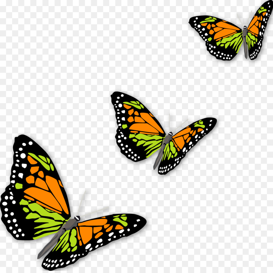 Papillons，Ailes PNG