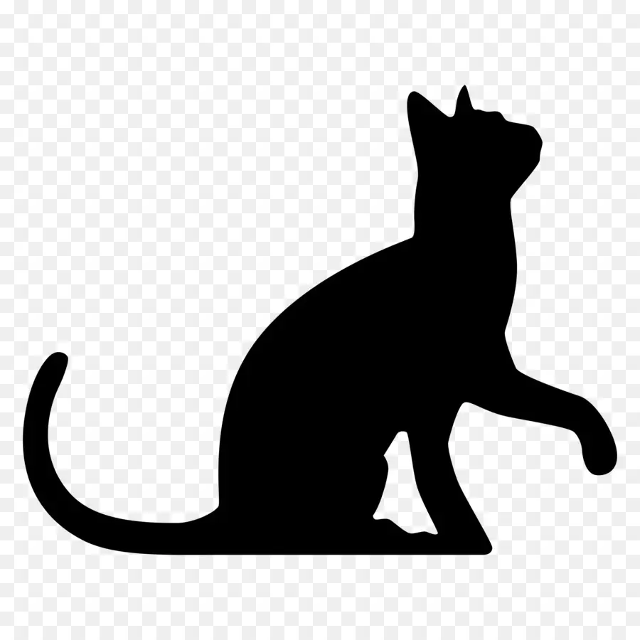 Chat Noir，Silhouette PNG