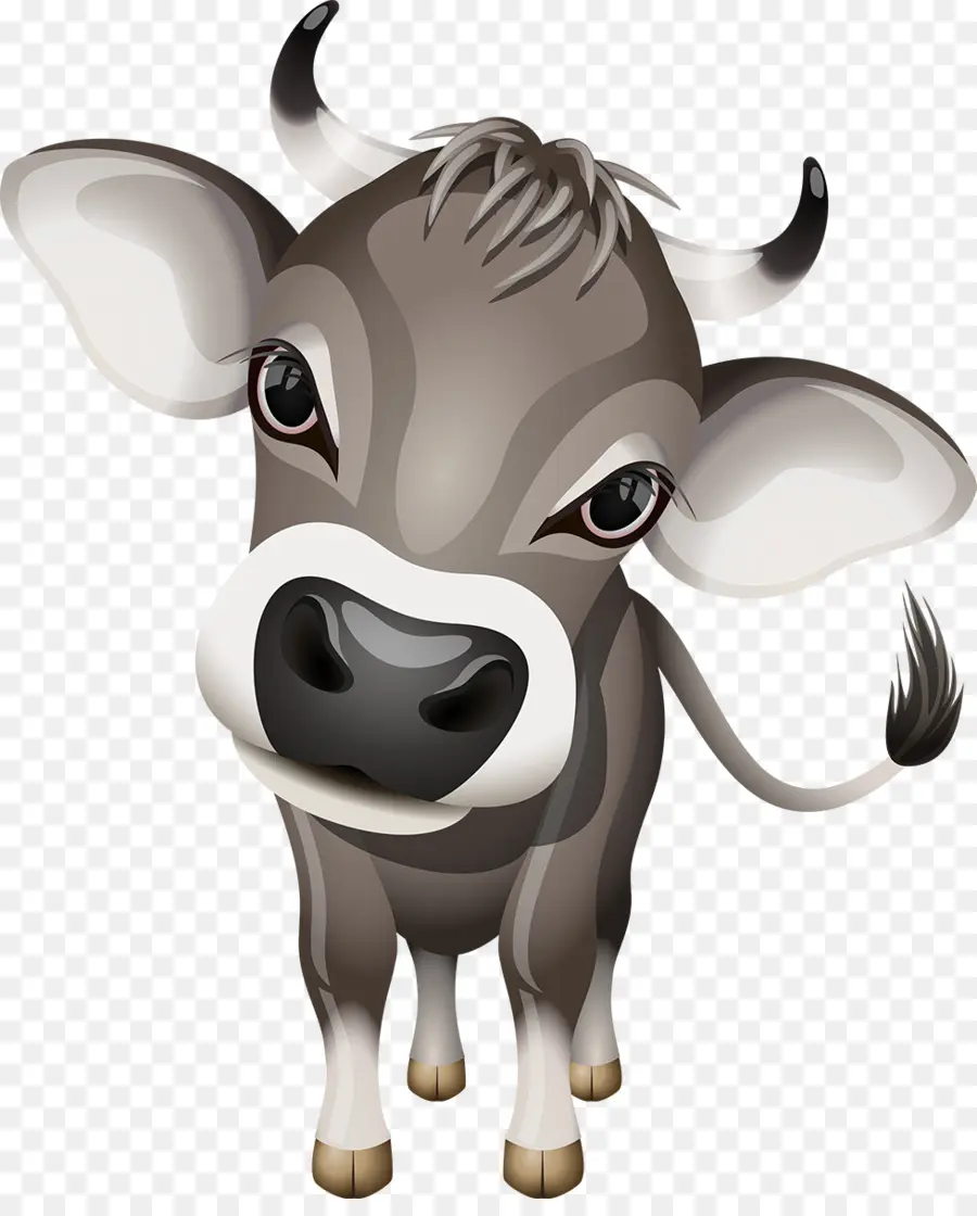 Vache，Veau PNG