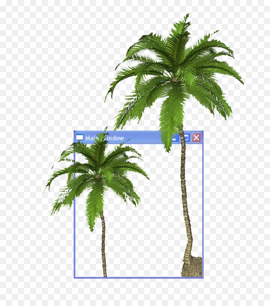 Arecaceae，Youtube PNG