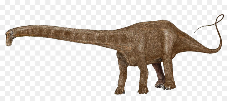 Dinosaure à Long Cou，Préhistorique PNG