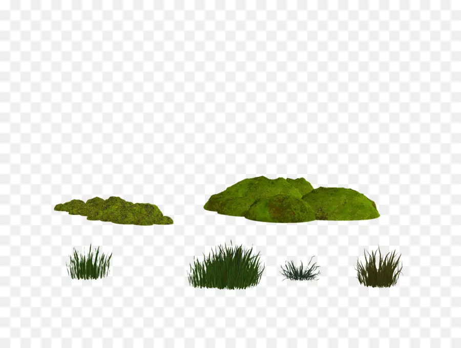 Herbe Et Buissons，Plantes PNG