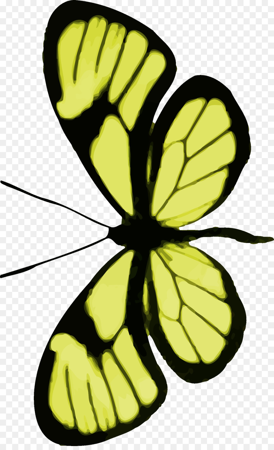 Papillon Vert，Insecte PNG