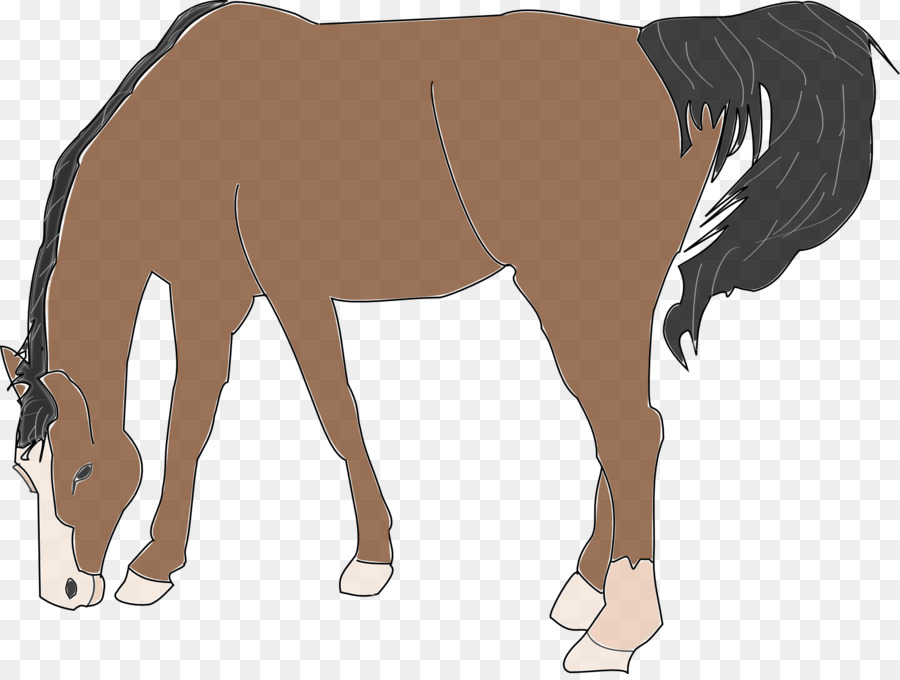Cheval，Blog PNG