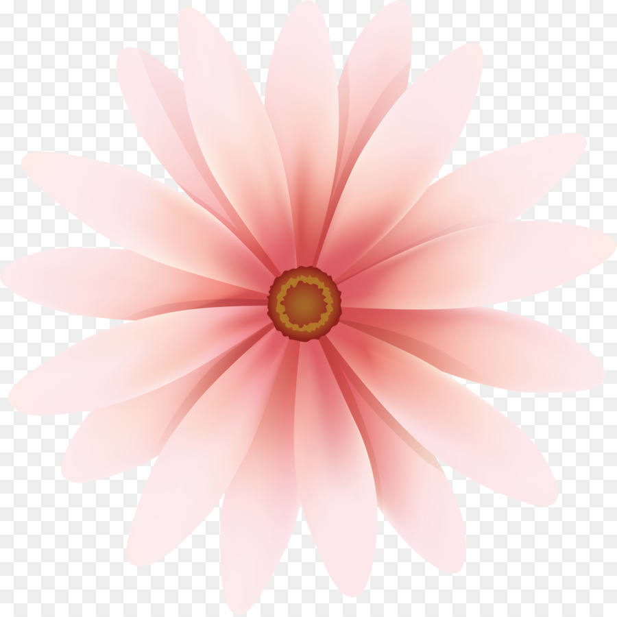 Fleur，Rose PNG