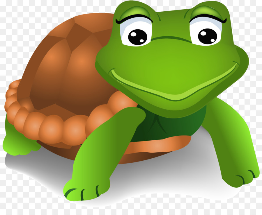 Tortue Verte，Coquille PNG