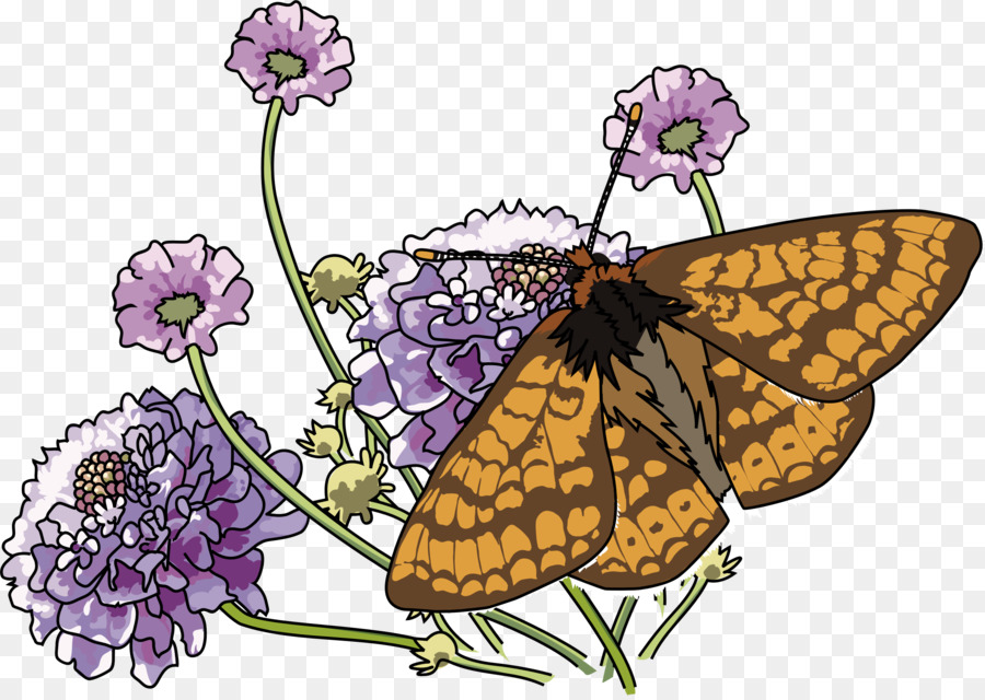 Papillon，Fleur PNG