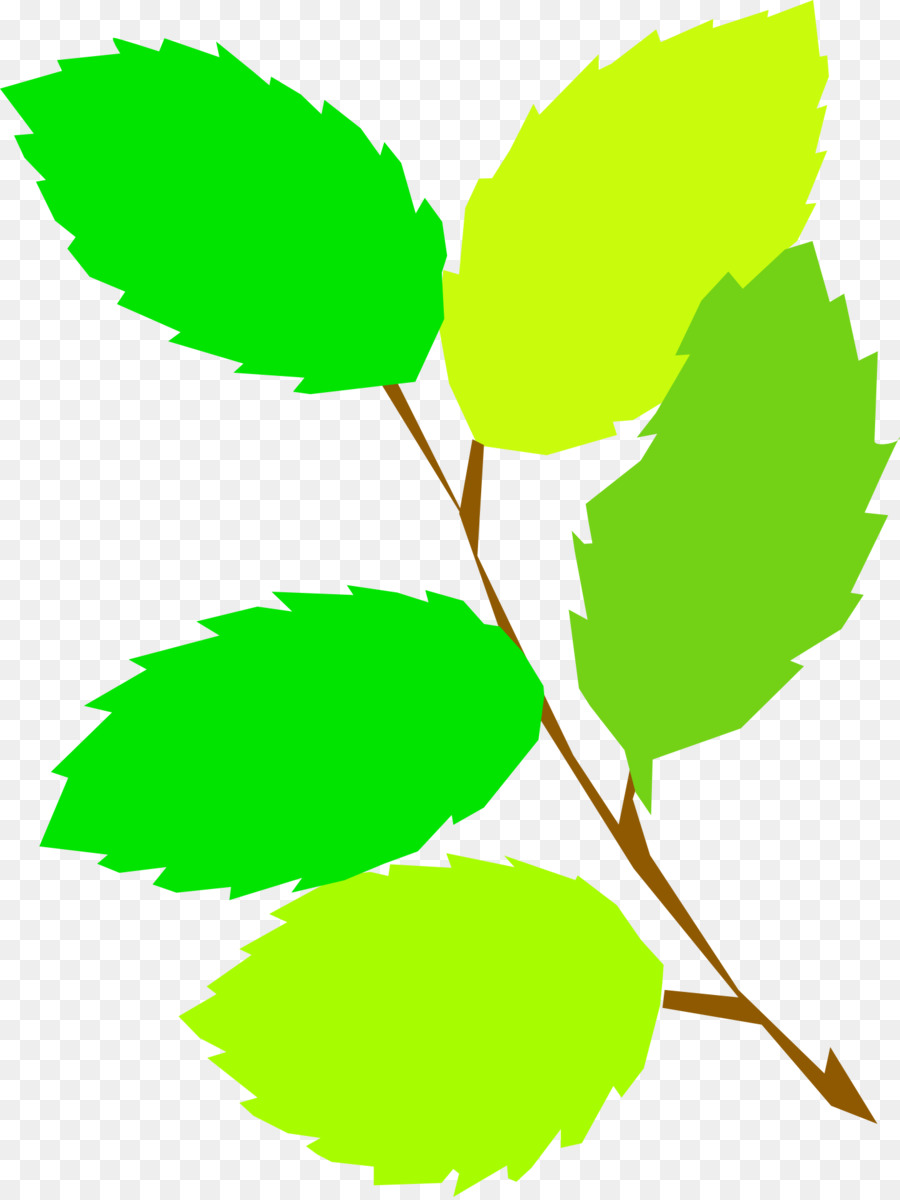 Feuille，Vert PNG