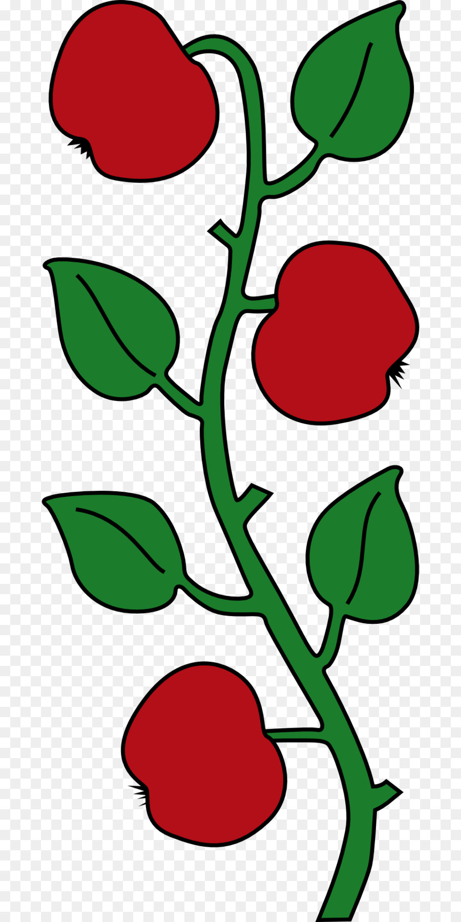 Dessin De Branche De Pomme，Feuilles PNG