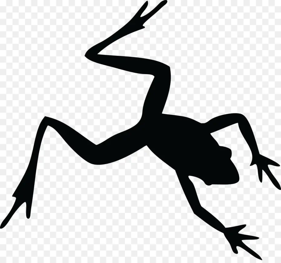 Silhouette De Grenouille，Amphibie PNG