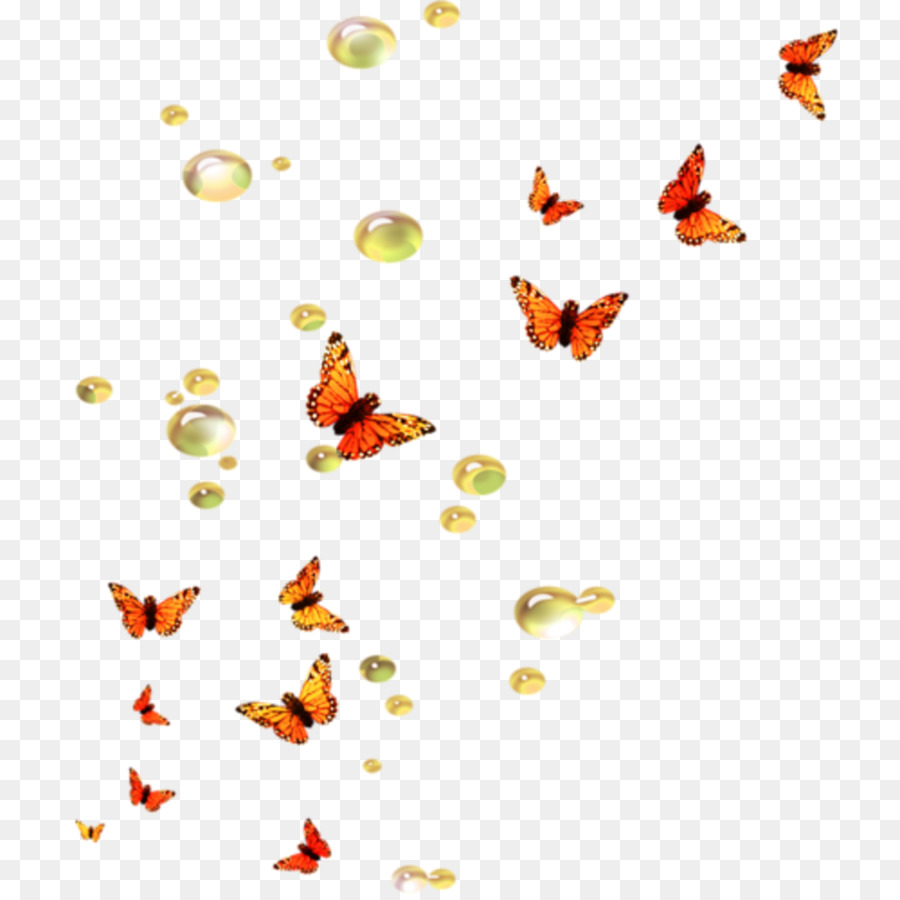Papillon，Le Papier Peint Du Bureau PNG