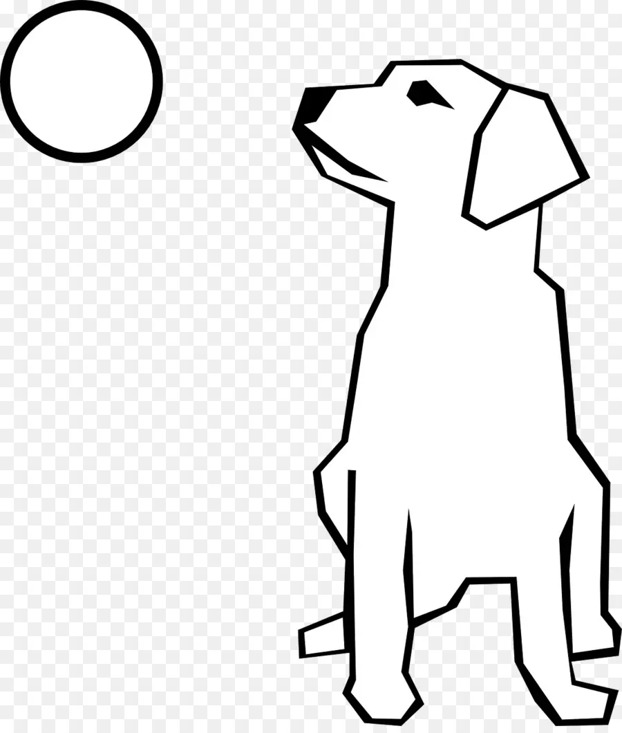 Chien，Balle PNG