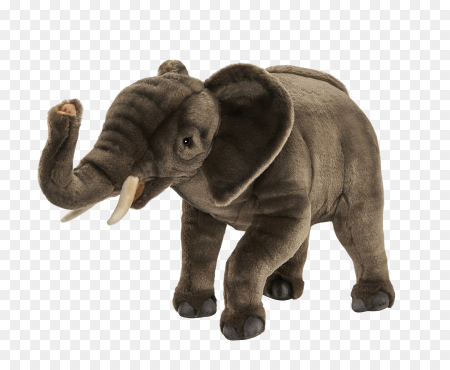 Éléphant De Dessin Animé，Défenses PNG