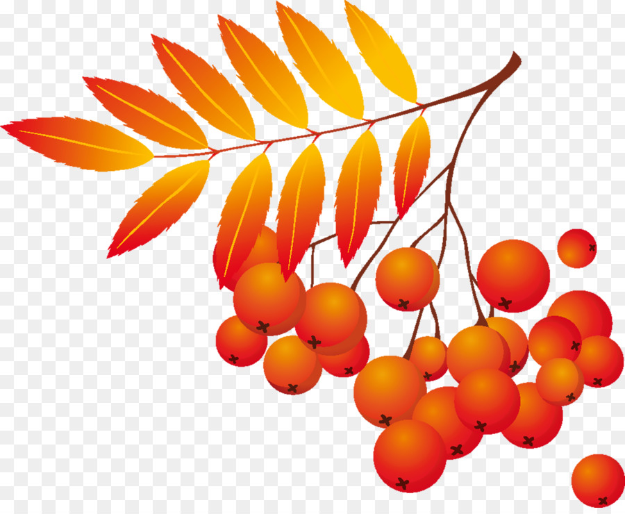 Fruits Rouges，Feuilles PNG