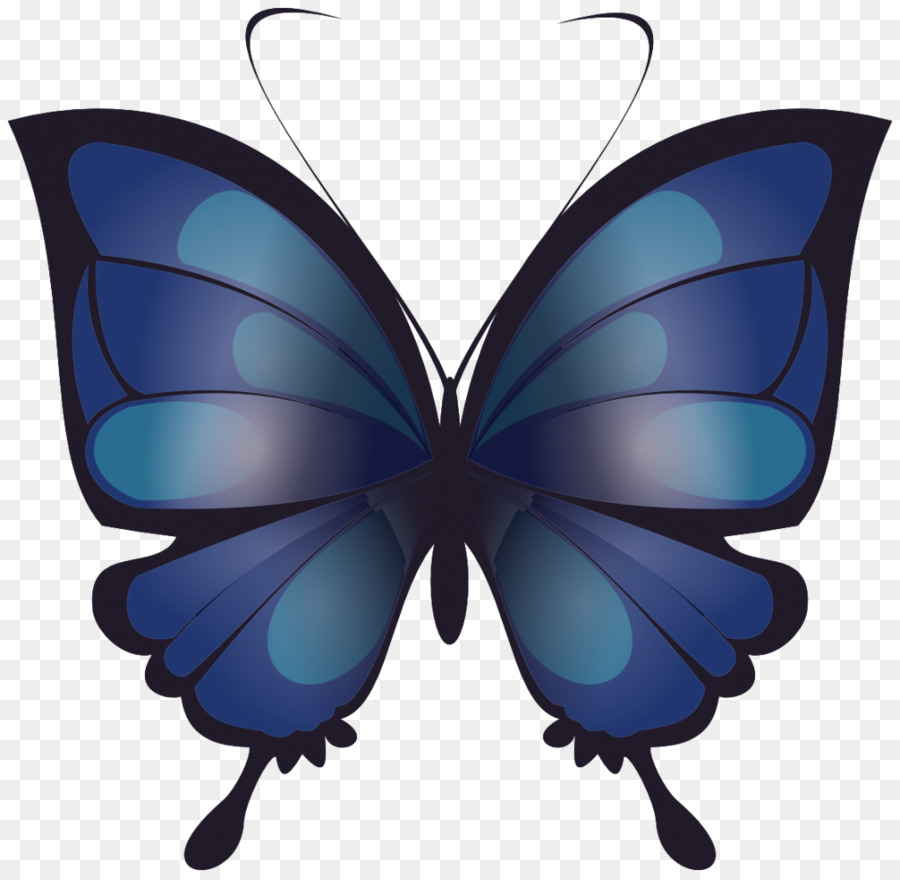 Papillon，Dessin PNG