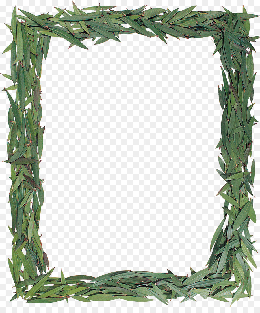 Cadre De Feuille，Vert PNG