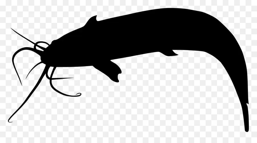 Poisson Chat，Silhouette PNG