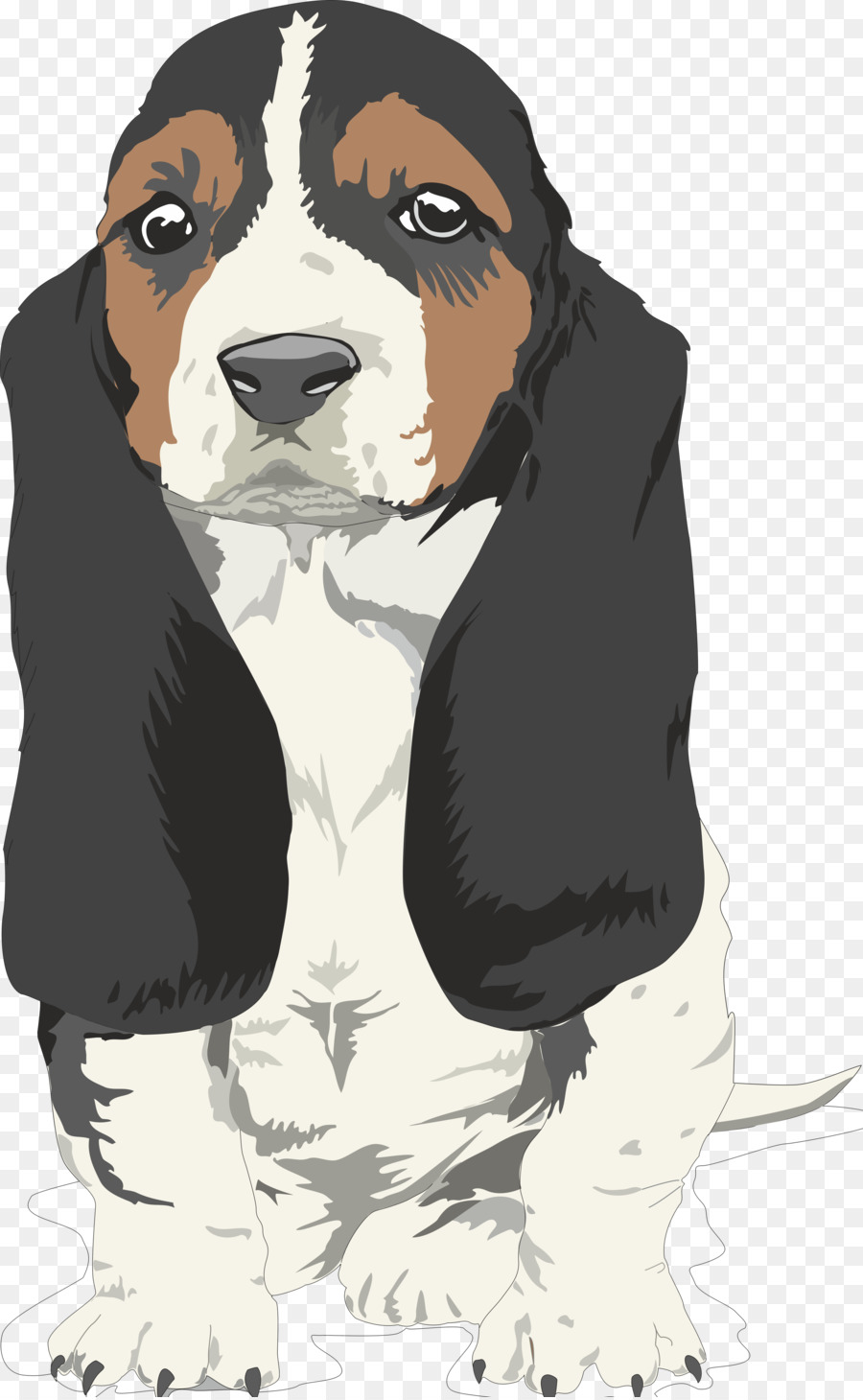 Beagle，Bouledogue PNG