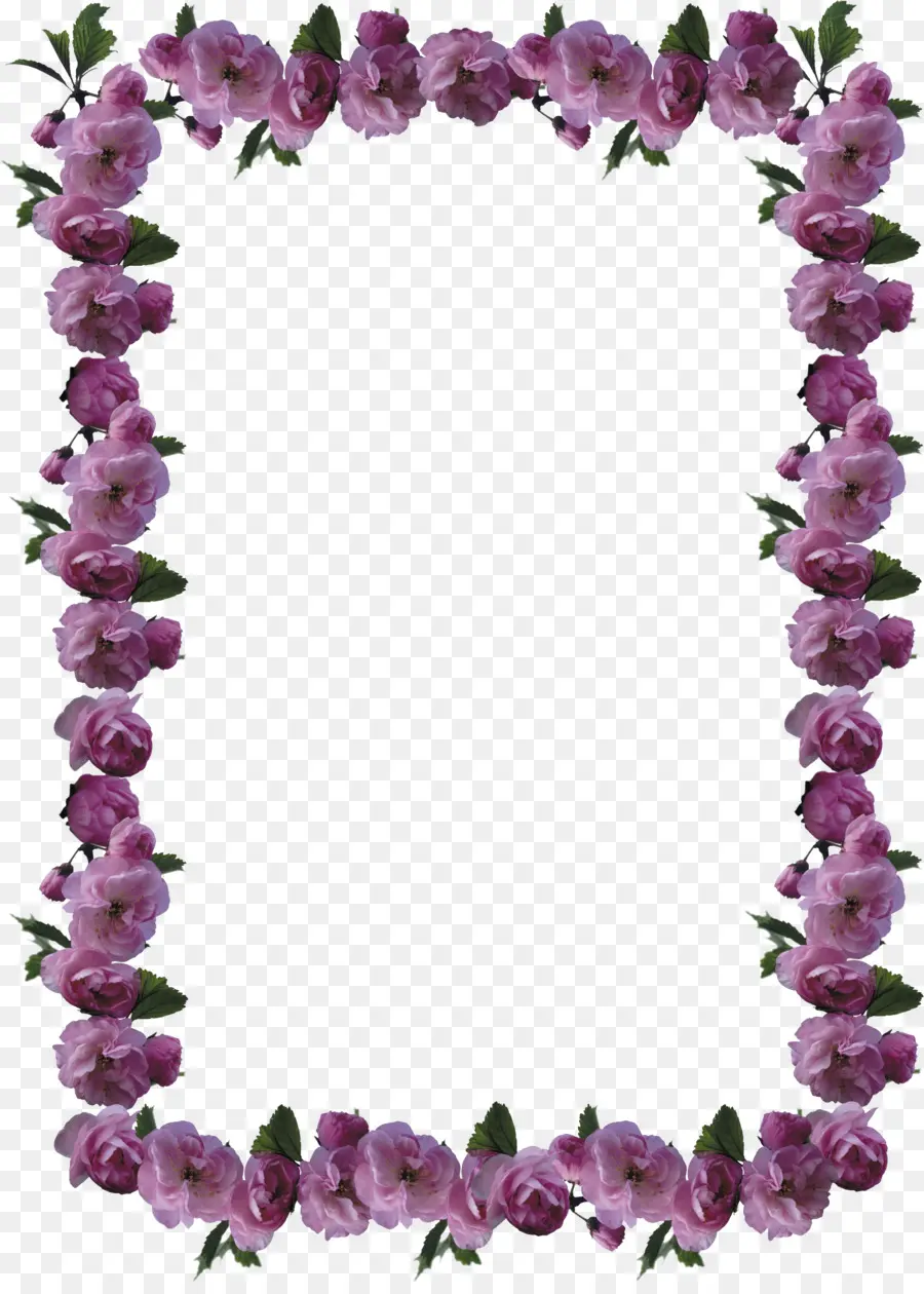 Cadre De Fleurs，Frontière PNG