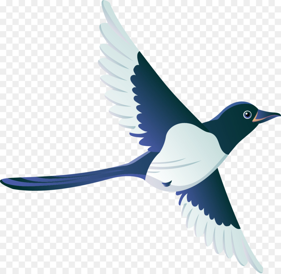 Oiseau Bleu，Vol PNG