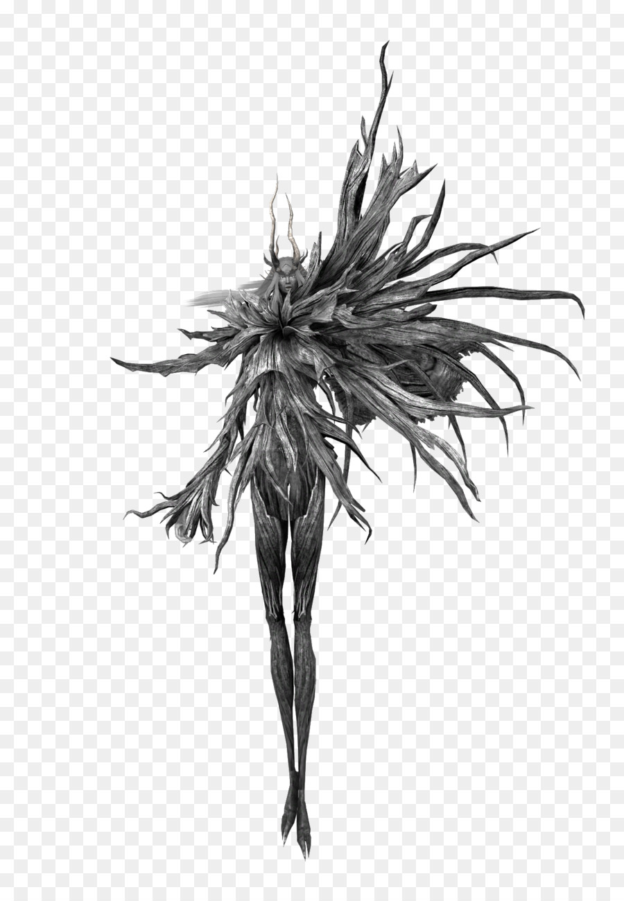 Costume à Plumes Noires，Plumes PNG