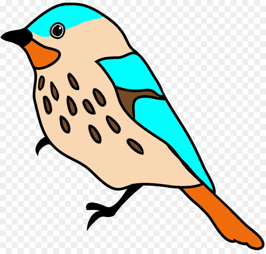 Oiseau，Dessin PNG