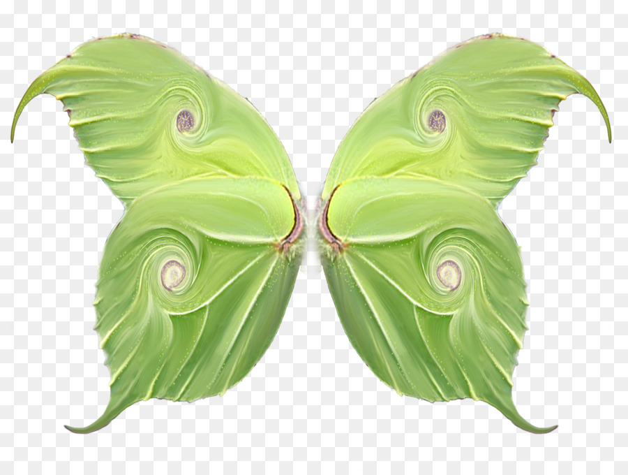 Ailes De Papillon Vert，Papillon PNG