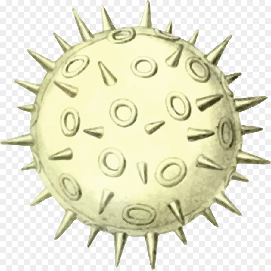 Pollen，Graine PNG