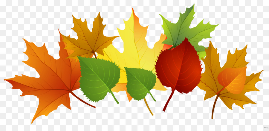 Feuilles D'automne，Automne PNG