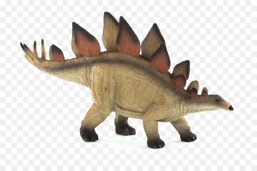 Jouet Stégosaure，Dinosaure PNG