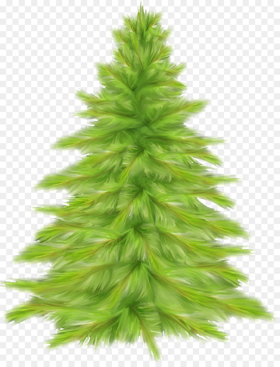 Arbre，Pin PNG