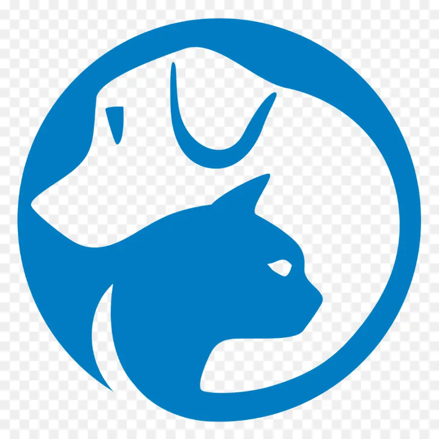 Chien Et Chat，Cercle Bleu PNG