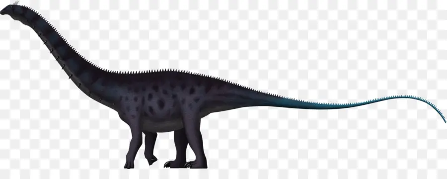 Apatosaure，Brachiosaure PNG